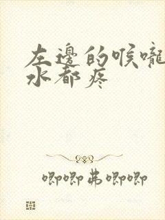 左边的喉咙吞口水都疼封面