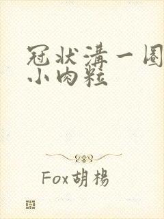 冠状沟一圈白色小肉粒封面