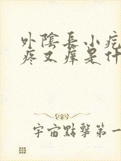 外阴长小疙瘩又疼又痒是什么封面