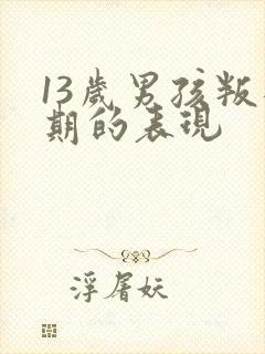 13岁男孩叛逆期的表现封面