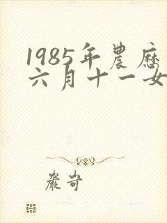 1985年农历六月十一女的命运