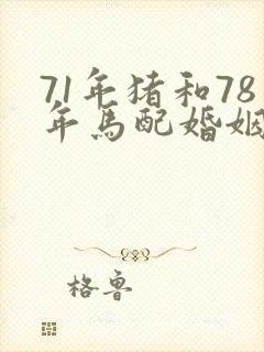 71年猪和78年马配婚姻合不合