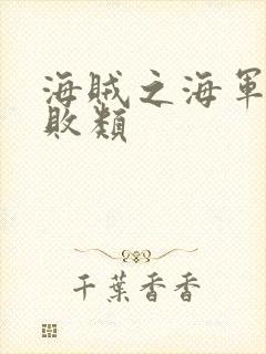 海贼之海军反派败类封面