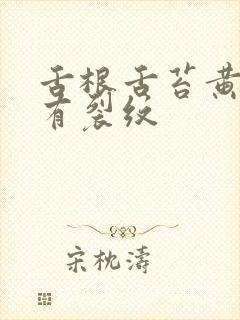 舌根舌苔黄厚腻有裂纹