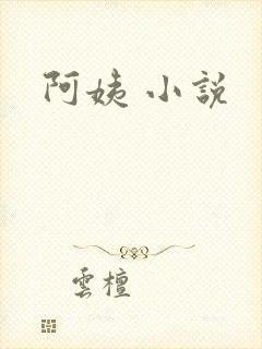 阿姨 小说