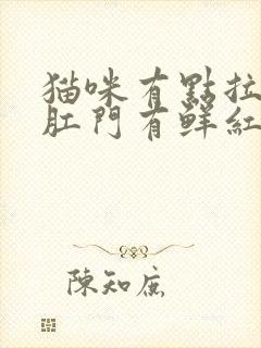 猫咪有点拉稀,肛门有鲜红色血