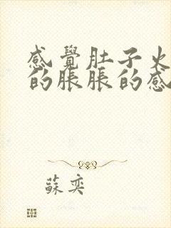 感觉肚子火辣辣的胀胀的感