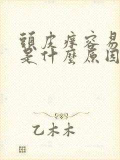 头皮痒容易出油是什么原因封面