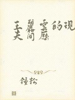 王丽云的现任丈夫简历封面