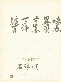 腋下有异味 还有汗怎么办封面