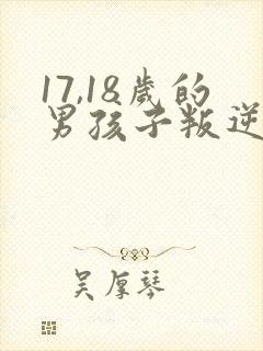 17,18岁的男孩子叛逆怎么办