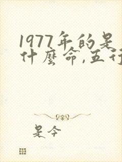 1977年的是什么命,五行属性