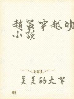 赵策穿越明朝的小说封面