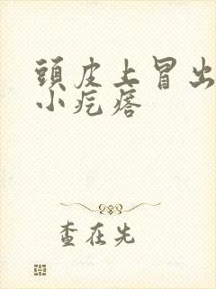 头皮上冒出很多小疙瘩