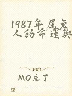 1987年属兔人的命运与婚姻