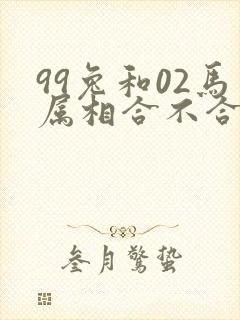 99兔和02马属相合不合