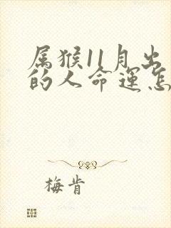 属猴11月出生的人命运怎么样