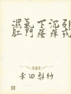 湿气下沉引起的肛门瘙痒或者阴囊瘙痒