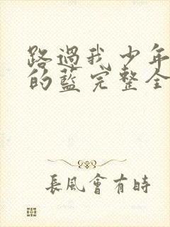 路过我少年时光的蓝完整全集