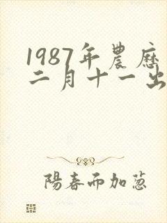 1987年农历二月十一出生命运