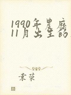 1990年农历11月出生的马命运怎样