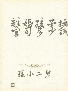 离婚孩子抚养权官司多少钱封面