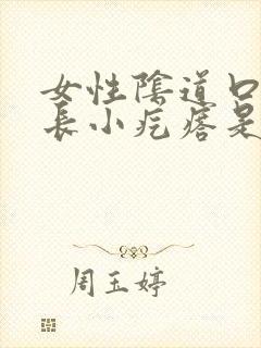 女性阴道口周围长小疙瘩是怎么回事