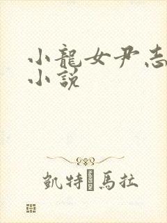 小龙女尹志平 小说