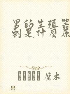 男的生殖器长粉刺是什么原因