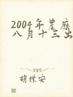 2004年农历八月十三出生男孩的命运