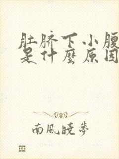 肚脐下小腹疼痛是什么原因