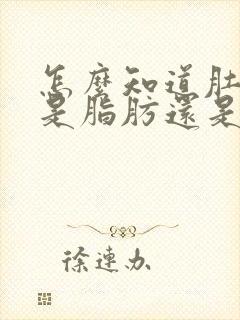 怎么知道肚子大是脂肪还是湿气重