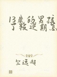 13岁的男孩至了叛逆期怎么教