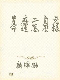 农历二月兔女的命运怎么样