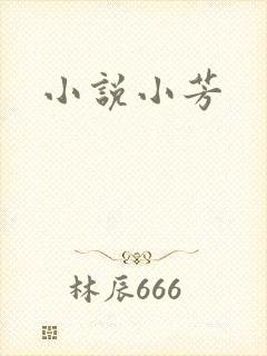 小说小芳