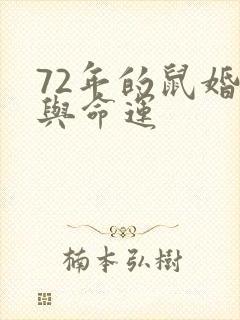 72年的鼠婚姻与命运