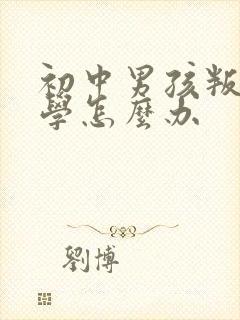 初中男孩叛逆厌学怎么办