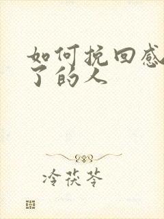 如何挽回感情淡了的人