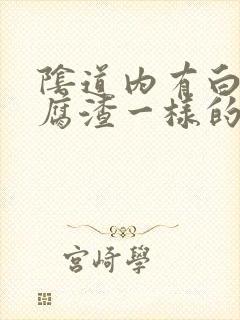 阴道内有白色豆腐渣一样的东西