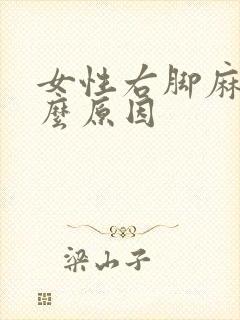 女性右脚麻是什么原因