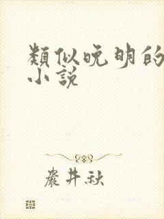 类似晚明的历史小说