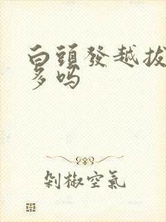 白头发越拔会越多吗封面