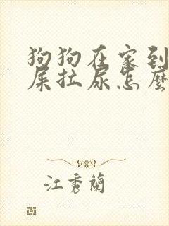 狗狗在家到处拉屎拉尿怎么办封面