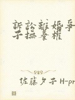 诉讼离婚争夺孩子抚养权