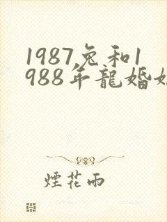1987兔和1988年龙婚姻好不好封面