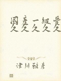 国产一级爱a久久久久久久