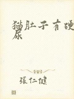 猫肚子有硬块闭尿