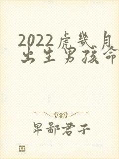 2022虎几月出生男孩命好