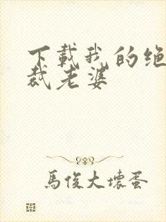 下载我的绝美总裁老婆