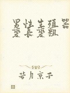 男性生殖器如何变长变粗